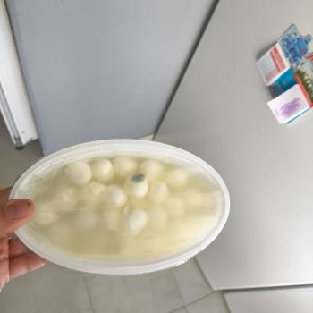 Bozuk Ürün Ve İlgisiz Müşteri Hizmetleri: Migros Hemen Hayal Kırıklığı