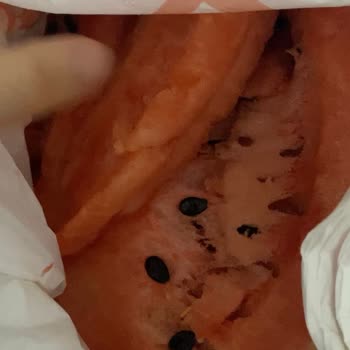 Zırhlı Toptan Market Aldığım Karpuzun Çürük Çıkması Ve İade Sürecindeki İlgisizlik