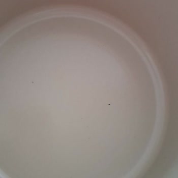 Neoflam Tencere Takımı Hayal Kırıklığı Yaşattı