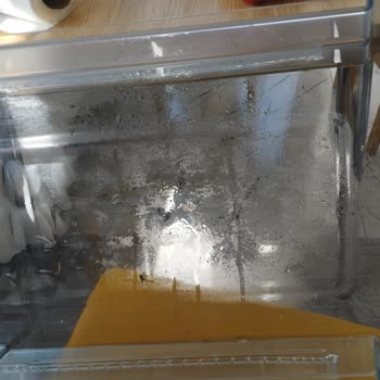 My New Beko Refrigerator Sweats and Spoils Food