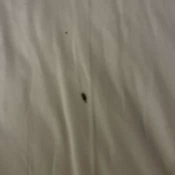 Bodrum Park Resort'ta Mağduriyet Ve Kötü Yönetim Deneyimi