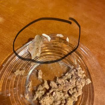 I Found Bones in Farmina N&D Wet Food—This Could Have Harmed My Cats