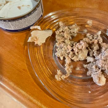 I Found Bones in Farmina N&D Wet Food—This Could Have Harmed My Cats