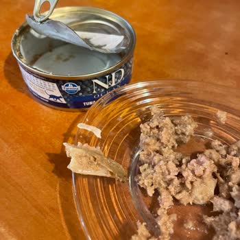 I Found Bones in Farmina N&D Wet Food—This Could Have Harmed My Cats