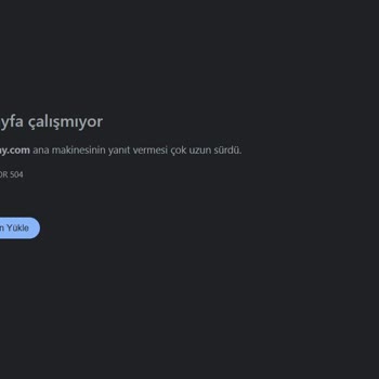 Sunucu Erişim Sorunları Ve Müşteri Hizmetlerine Ulaşamama