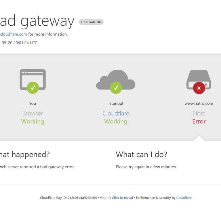Natro Hosting'de Sürekli Teknik Sorunlar Ve Yetersiz Destek
