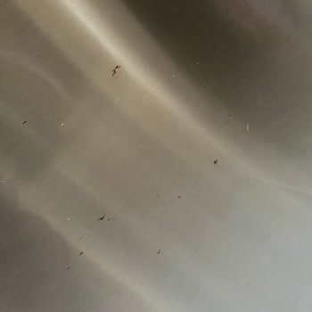 İki Yıllık Bosch Buzdolabında Şaşırtan Paslanma