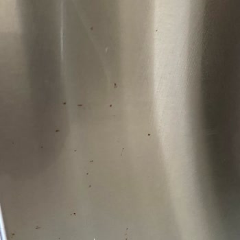 İki Yıllık Bosch Buzdolabında Şaşırtan Paslanma