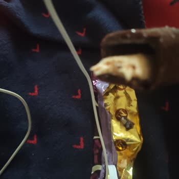 Küflü Dondurma Ve Kaba Kurye Deneyimiyle Hayal Kırıklığı Yaşadım