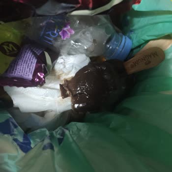 Küflü Dondurma Ve Kaba Kurye Deneyimiyle Hayal Kırıklığı Yaşadım