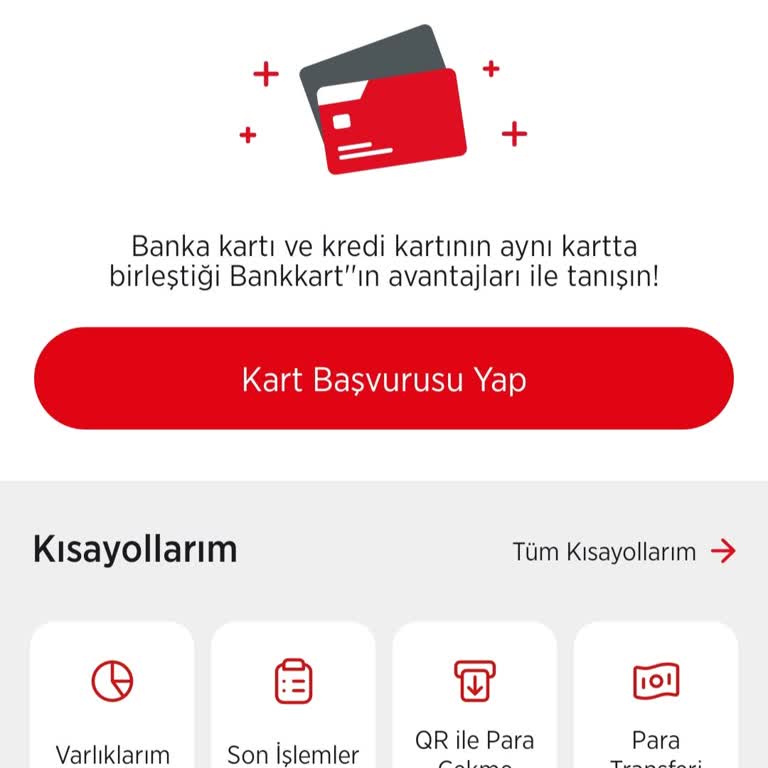 Ziraat Süper Şube'ye Erişim Sorunu Ve Hesap Bilgilerine Ulaşamama