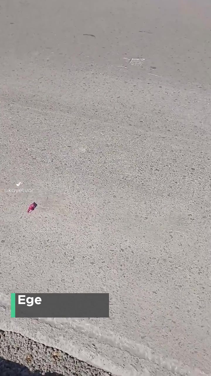 Bir Belediye Klasiği: Kazı Çalışmasından Sonra Yol O Halde Kalmış! videonun kapak resmi