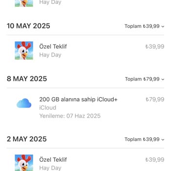 Supercell ID Erişim Sorunu Ve Destek Ekibi İlgisizliği