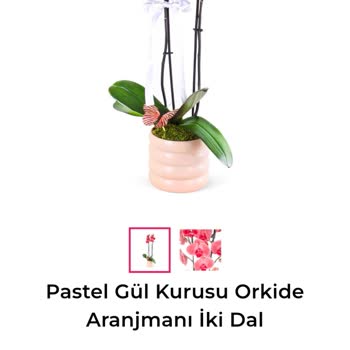 Siparişimde Beklentilerim Karşılanmadı, Yanlış Ve Özensiz Ürün Teslimatı