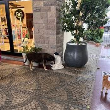 Eki aç