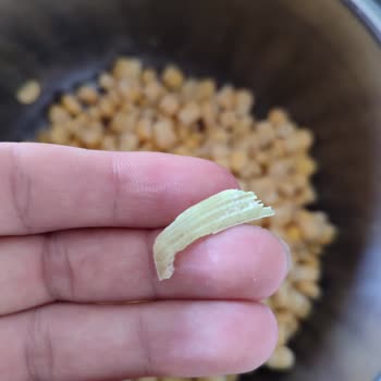 Dondurulmuş Süt Mısırında Yabancı Maddeyle Karşılaştım