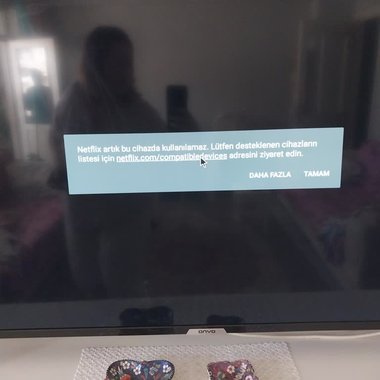 Smart TV’de Süregelen Güncelleme Sorunu Nedeniyle Netflix’e Erişim Sağlanamıyor