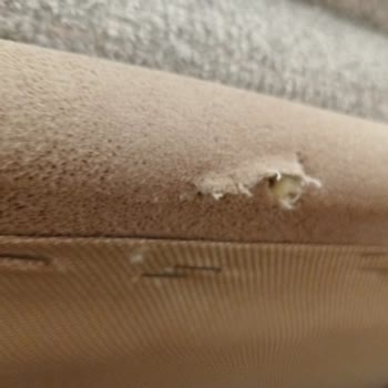 Deforme Gelen Oturma Grubu İçin İki Aydır Çözüm Sunulmuyor