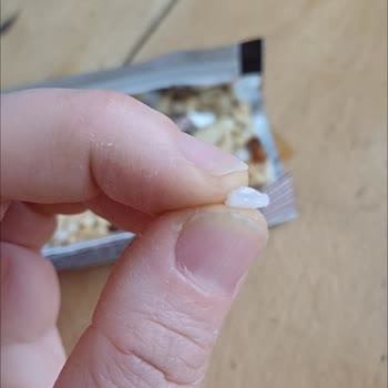 Tadımca Yer Fıstıklı Üründen Plastik Parçası Çıkması Ve Müşteri Hizmetlerine Ulaşılamaması