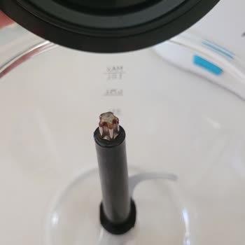 Beko Blender Ve Doğrayıcıda Paslanma, Servis Çözüm Sunmuyor