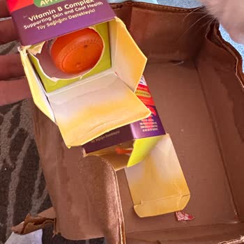 Kırık Ürün Ve Kötü Koku Nedeniyle Yaşanan Memnuniyetsizlik