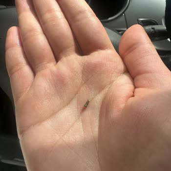 Gözlük Garanti Sürecinde Sorun Ve Teknik Servis Mağduriyeti