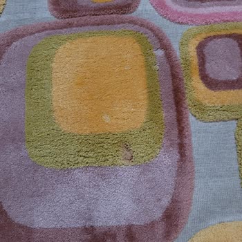 Halı Yıkamada Lekeler Çıkmadı Ve İlgisiz Davranışlar Yaşadım