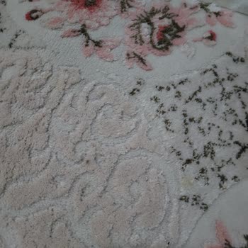 Halı Yıkamada Lekeler Çıkmadı Ve İlgisiz Davranışlar Yaşadım