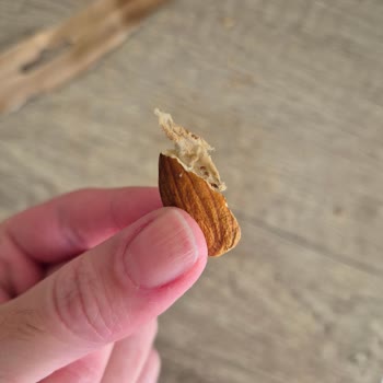 Tadım'dan Aldığım Kuruyemişlerde Hijyen Ve Kalite Sorunu!