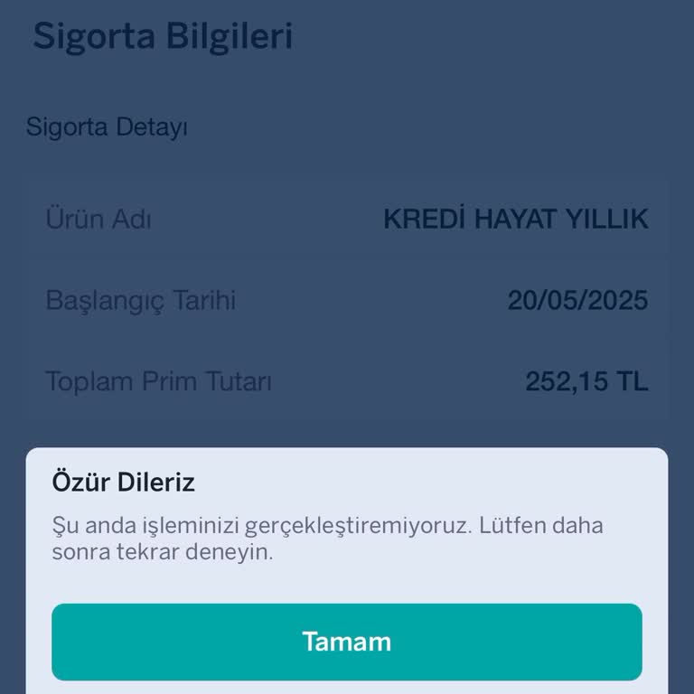 Onaylanan Kredi Hesabıma Geçmiyor, Sistemsel Hata Çözülmüyor