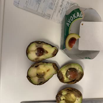 A101'de Çürük Meyve İadesi Reddedildi Mağaza Sorumlusu Yardımcı Olmadı