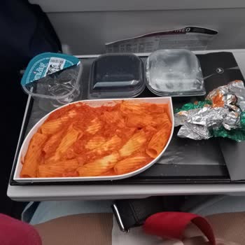 Yanlış Yemek Servisi Ve Yetersiz Kabin Görevlisi Nedeniyle Mağduriyet