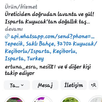 @sakli_lavanta _bahcesi Gelen Kutuda Solmuş Yapraklar