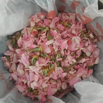 @sakli_lavanta _bahcesi Gelen Kutuda Solmuş Yapraklar