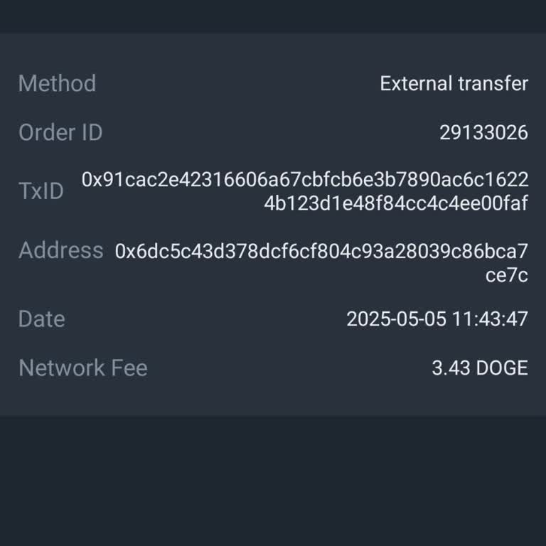 Bybit Hesabıma Gönderdiğim Doge Coin Ulaşmadı