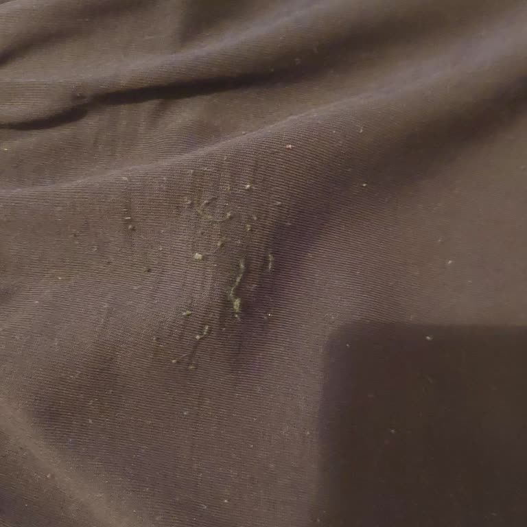 Osyho Eşofman Altı Kısa Sürede Tiftiklendi Ve Eskimiş Görünüyor