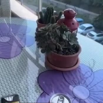 Letgo'da Sattığım Ürünün Parası Hesabıma Yatmıyor
