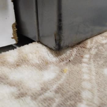 Çamaşır Makinesi Deterjan Bölümünde Paslanma Ve Yetersiz Servis