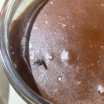 Cheesecake İçinde Sinek Ve Ulaşılamayan Müşteri Desteğiyle Büyük Hayal Kırıklığı