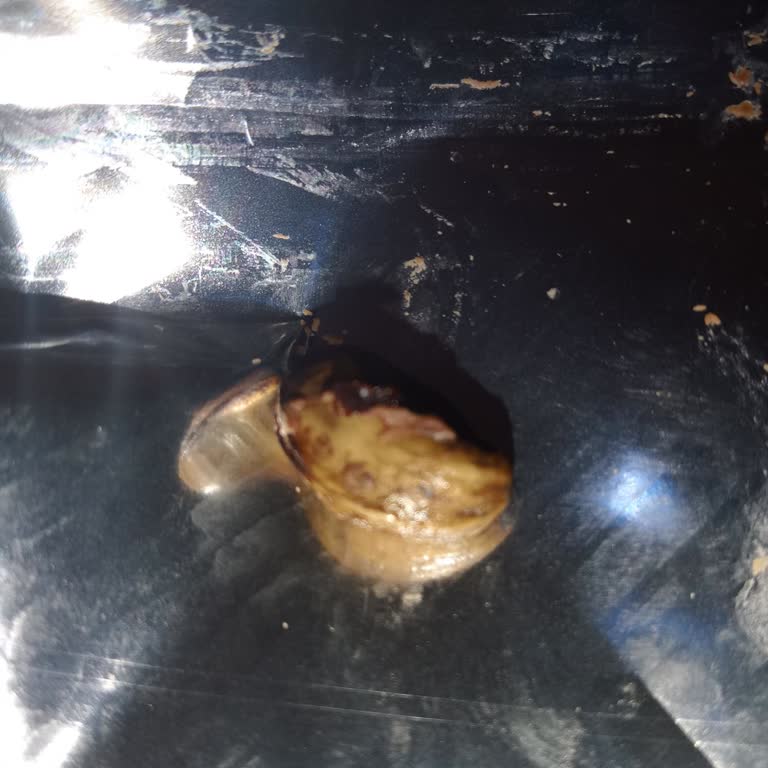 A101 Vince Çikolatadan Antep Fıstığı Çıktı!