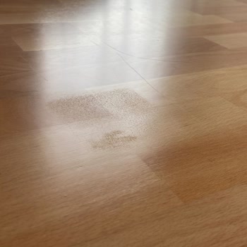 Aldığım Yemek Masasında Sürekli Tekrar Eden Deformasyon Ve İlgisizlik