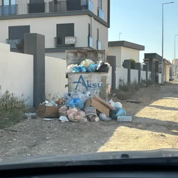 Mahallede Sivrisinek ve Temizlik Sorunları Hakkında Şikayet