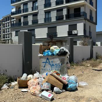 Mahallede Sivrisinek ve Temizlik Sorunları Hakkında Şikayet