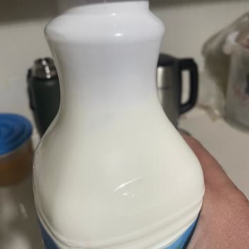 Torku Ayranın İçinden Yabancı Madde Çıkması