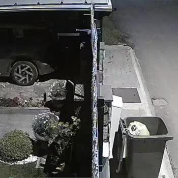 Çankaya Belediyesi Çalışanının Çöpleri Kapıma Dökmesi!