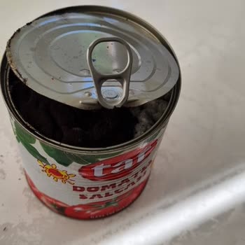 Tat Küflü Salça