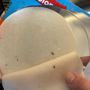 Piliç Jambon Paketinde Ölü Böceklerle Karşılaştım Hijyen Ve Güvenlik Endişesi Yaşıyorum