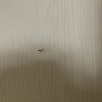 Sıfır Ürün İkinci El Gibi Teslim Edildi, Parça Değişimi Yapılmıyor Mağdur Oldum