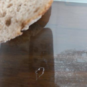 Migros Fırın Ekmeğinden Saç Kılı Çıkması Hijyen Sorunu