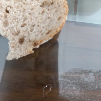 Migros Fırın Ekmeğinden Saç Kılı Çıkması Hijyen Sorunu